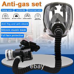 Electric Constant Flow Supplied Air Fed Full Face Gas Mask Spray Painting Tool