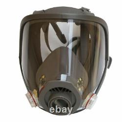 Full Face Gas Mask Flow Supplied Air Fed Chemical Spray Painting Respirator