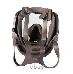 Full Face Gas Mask Flow Supplied Air Fed Chemical Spray Painting Respirator