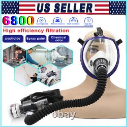 Portable Electric Full Face Gas Respirator Supplied Air Paint Spraying Chemical