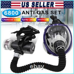 Portable Electric Full Face Gas Respirator Supplied Air Paint Spraying Chemical