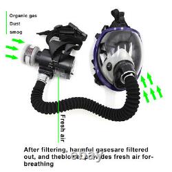 Portable Electric Full Face Gas Respirator Supplied Air Paint Spraying Chemical