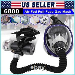 Portable Electric Full Face Gas Respirator Supplied Air Paint Spraying Chemical