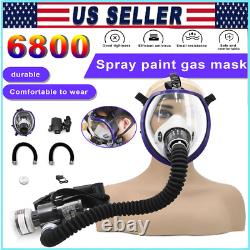 Portable Electric Full Face Gas Respirator Supplied Air Paint Spraying Chemical