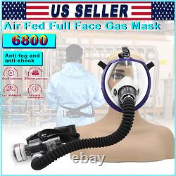 Portable Electric Full Face Gas Respirator Supplied Air Paint Spraying Chemical