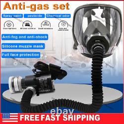 Portable Electric Full Face Gas Respirator Supplied Air Paint Spraying Chemical