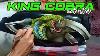 Décalcomanie De Glissade D'eau Airbrush Tangki King Cobra Super Cool